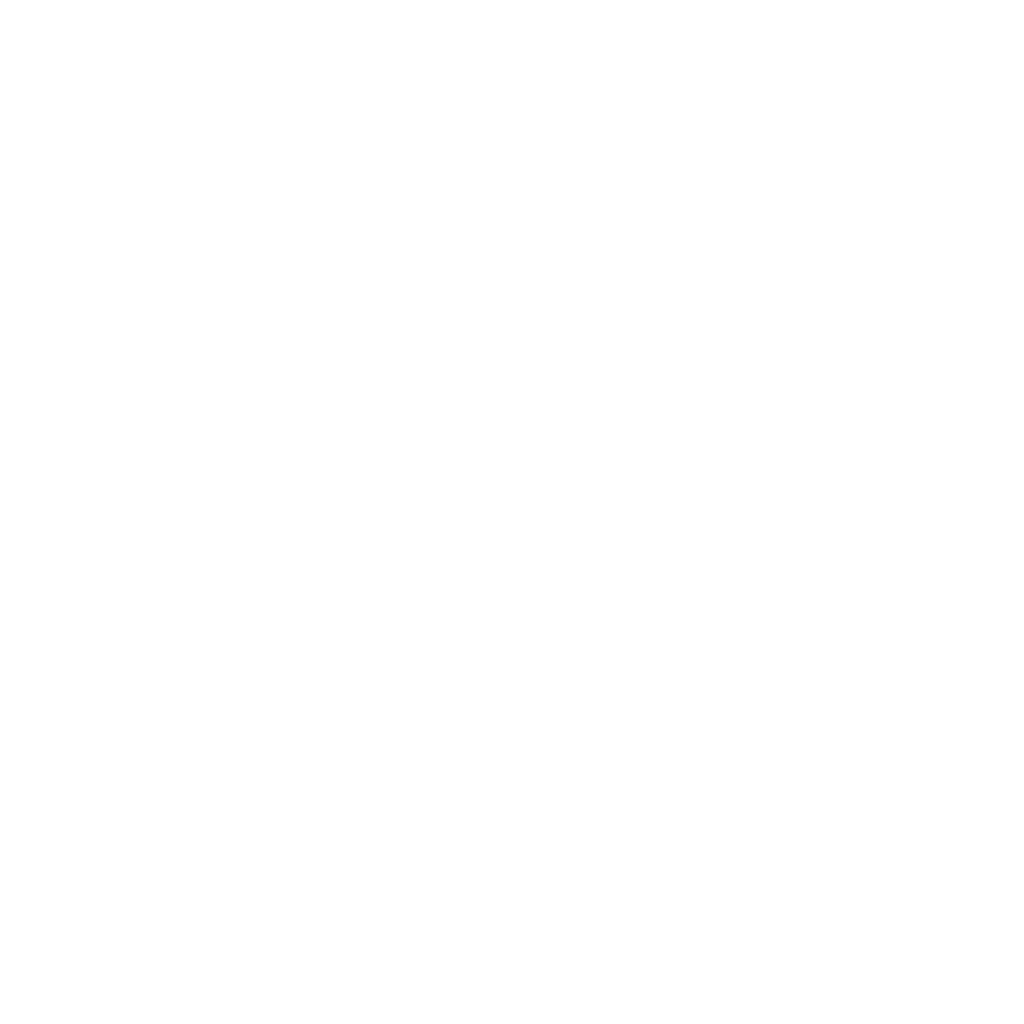 Adolfo Dominguez Logo