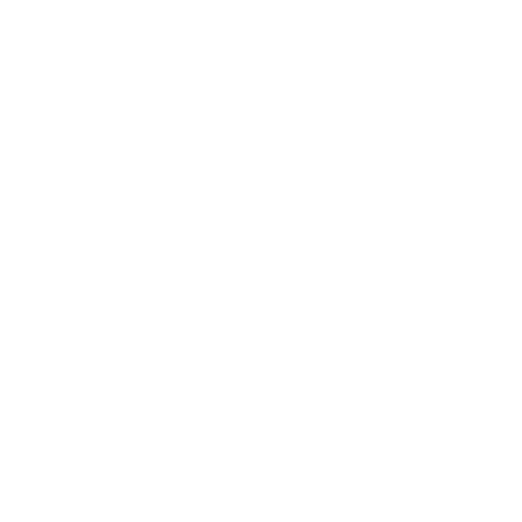 Logo Roger Vivier