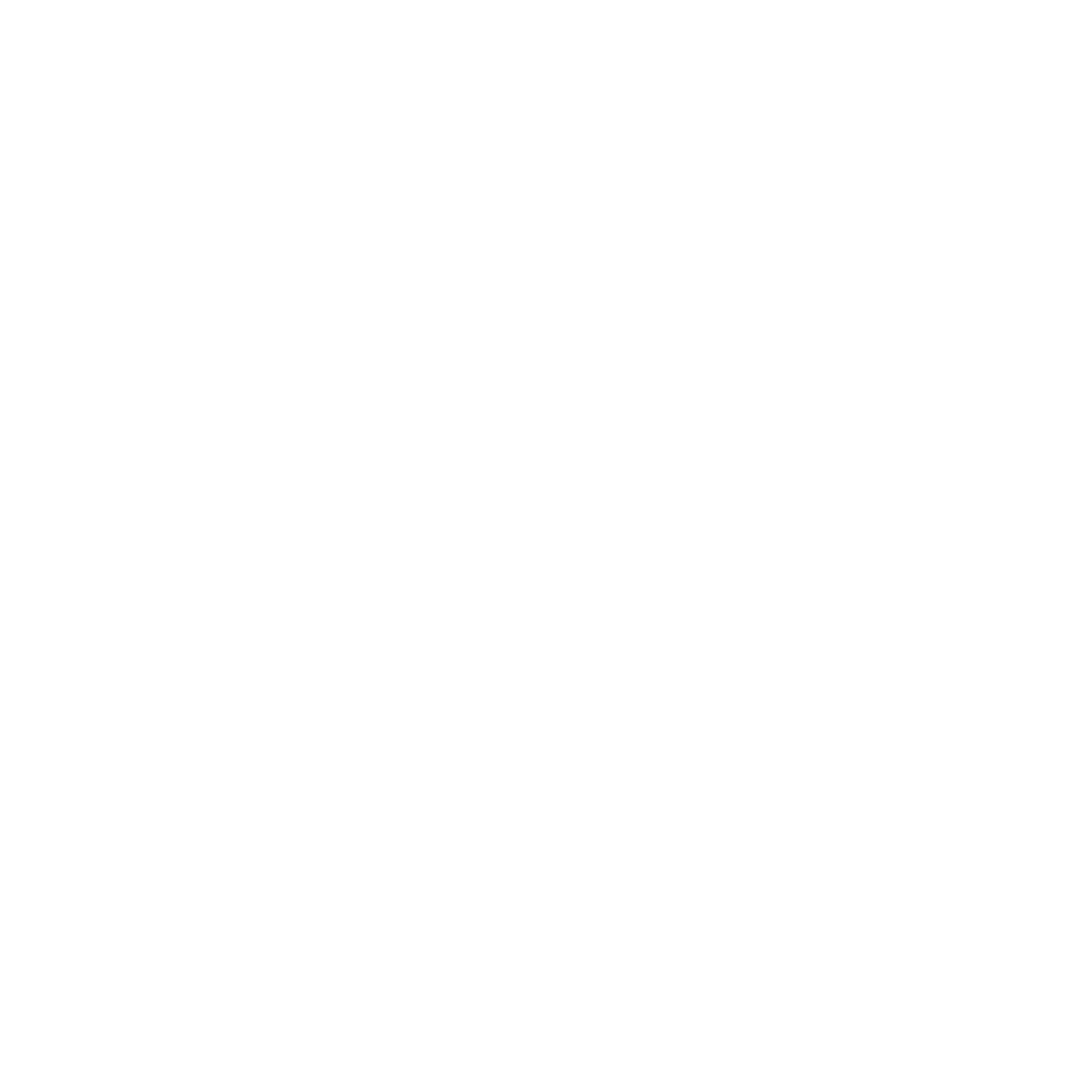 Logo Stuart Weitzman